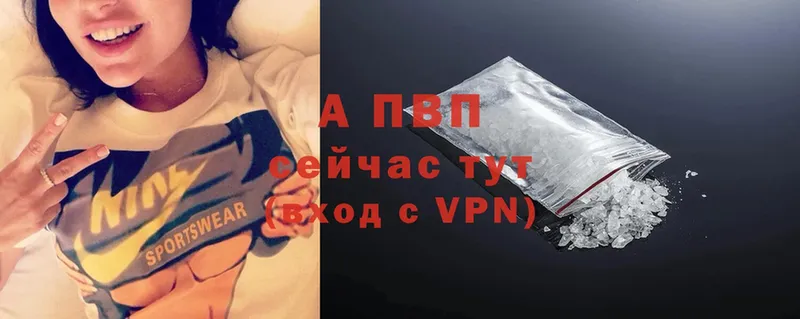 omg вход  Снежногорск  Alpha PVP СК КРИС 